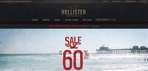 hollister website